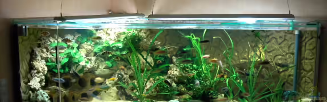 Becken 3694 von Heiko Schrandt