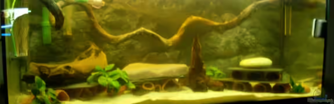 Becken 3701 von TillBS