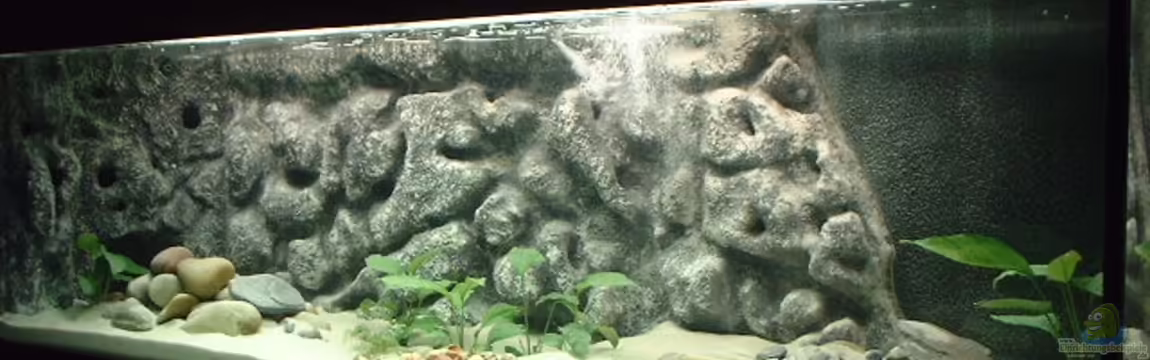 Becken 371 von Ralf Romer