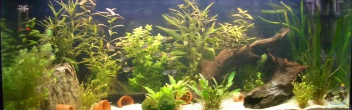 Becken 3711 von Juergen Keimeleder