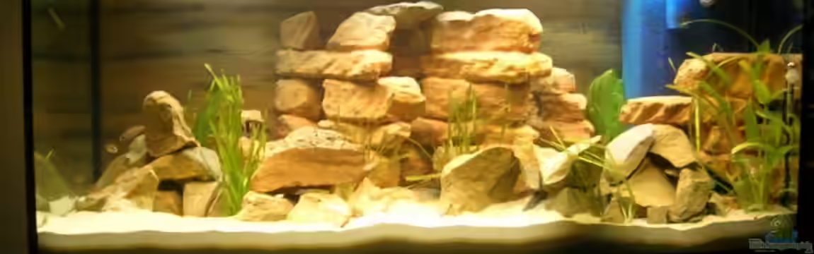 Becken 3719 von Mikolas Rost