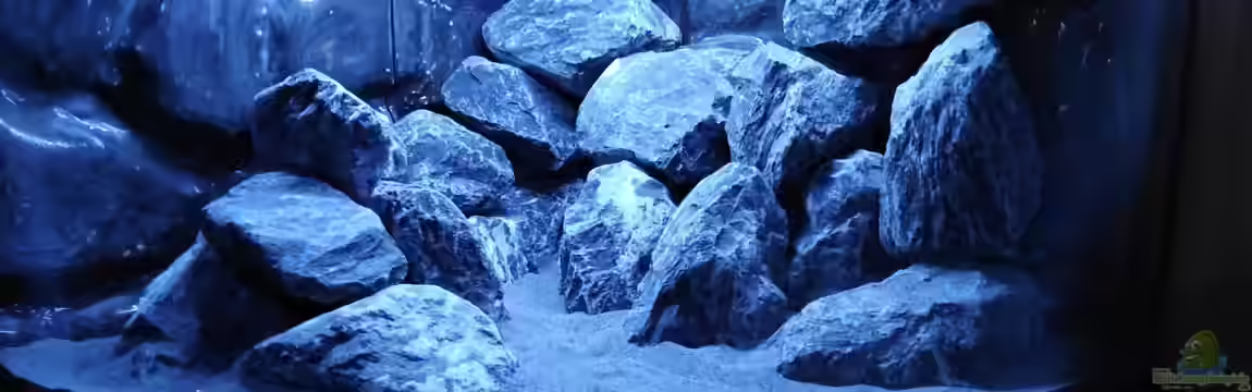 Becken 37629 von Manuel Schwandner