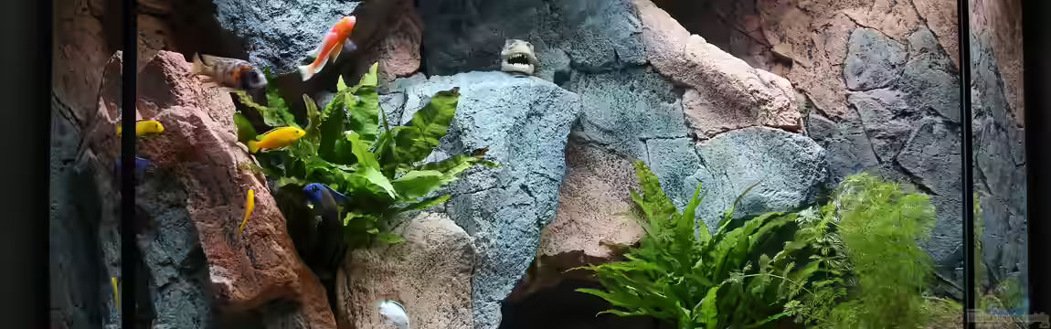 Becken 37662 von Philipp Steinbrück