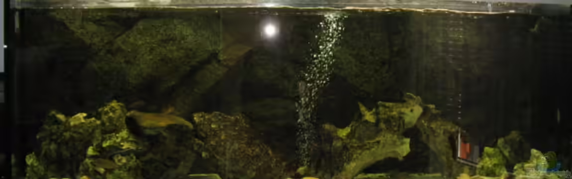 Becken 3836 von Axel Borck