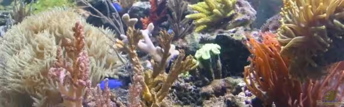 Becken 3844 von Lars Leonhardt