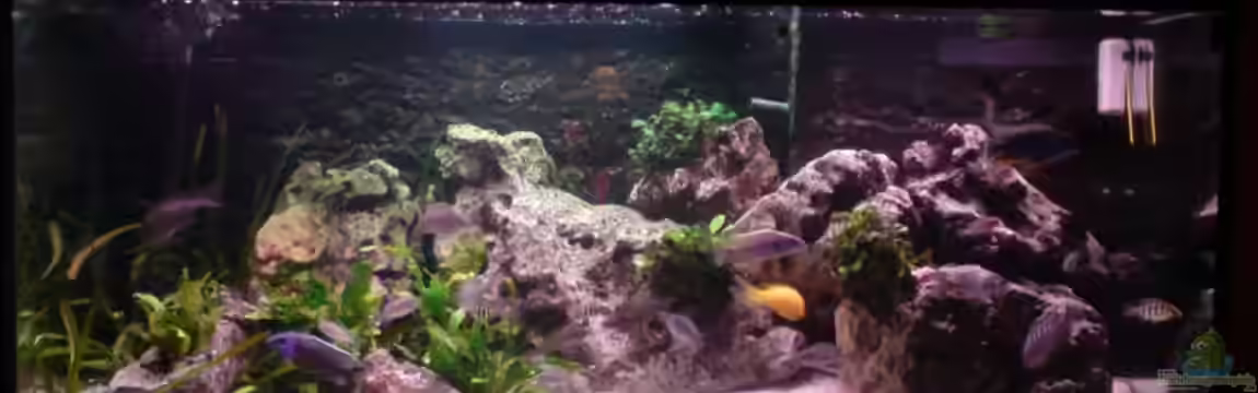 Becken 3874 von Jan Kaun