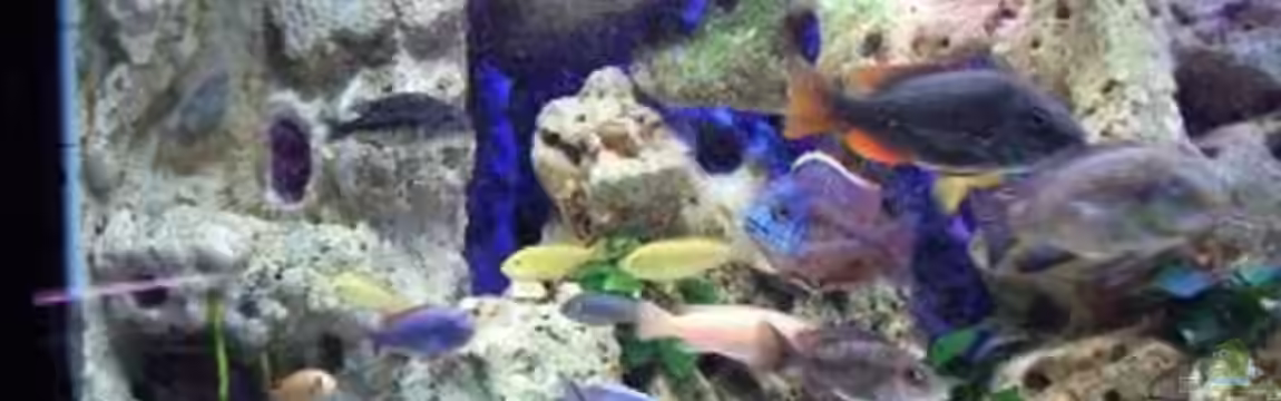 Becken 396 von Thomas Biewald