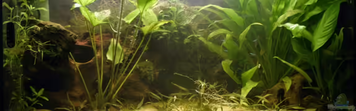 Becken 3969 von Juliane Schmidt