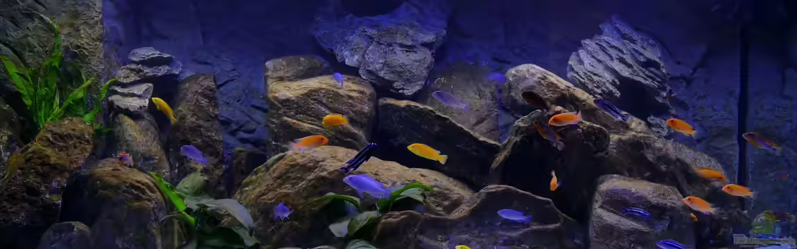 Becken 40731 von Babs