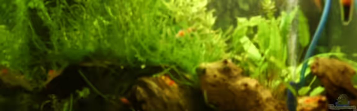 Becken 4078 von Matthias Söldner