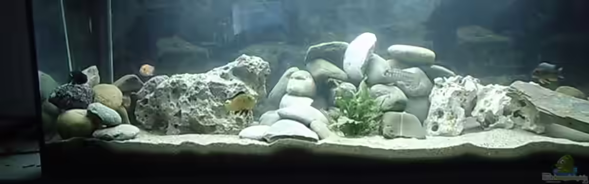 Becken 413 von Sebastian Lahmeyer