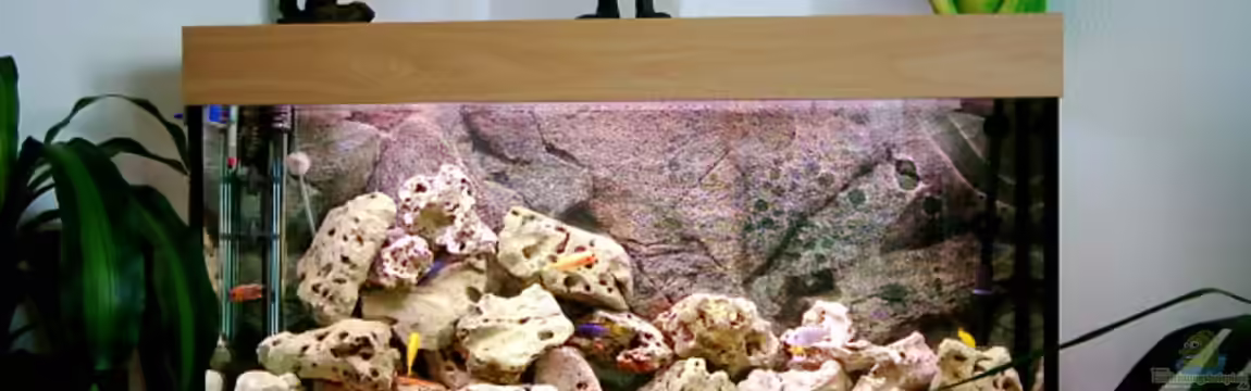 Becken 415 von Kay Bergmann