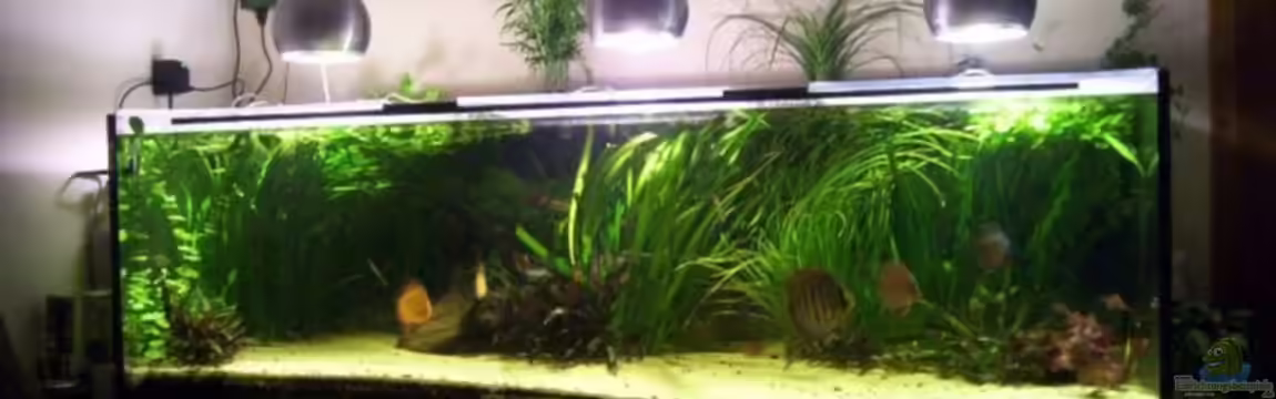 Becken 4165 von Volker Kück