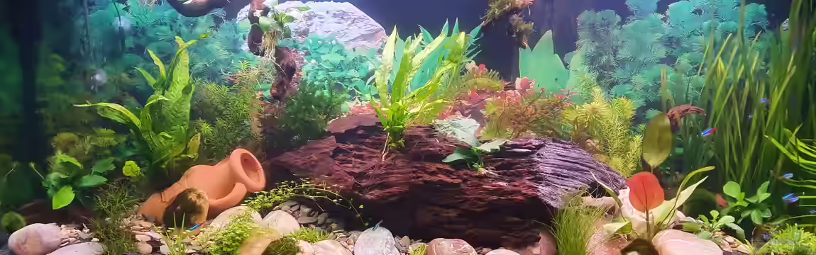 Becken 41993 von Photi69