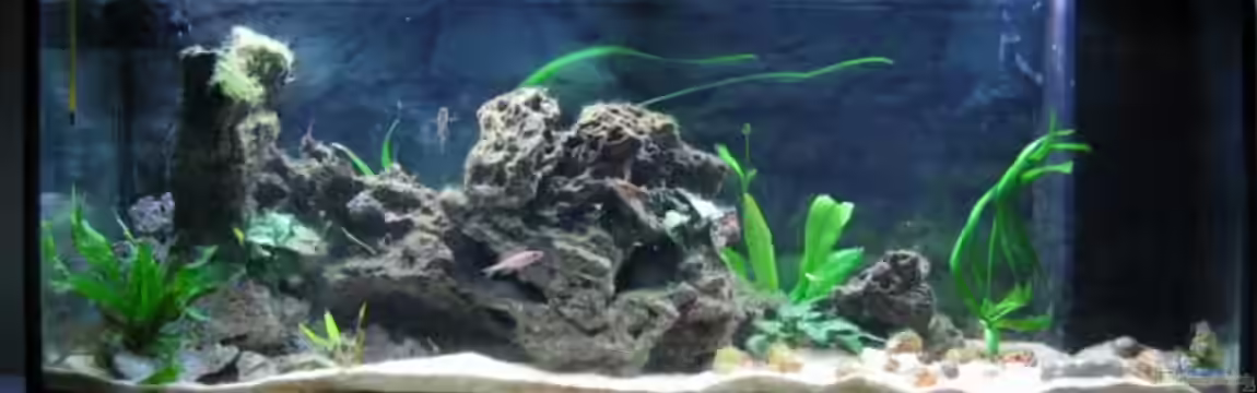 Becken 4210 von Michael Häberle & Jane Lindenlaub