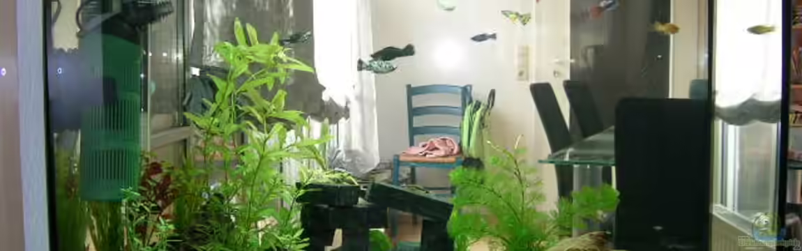 Becken 4225 von Jörg Fackler