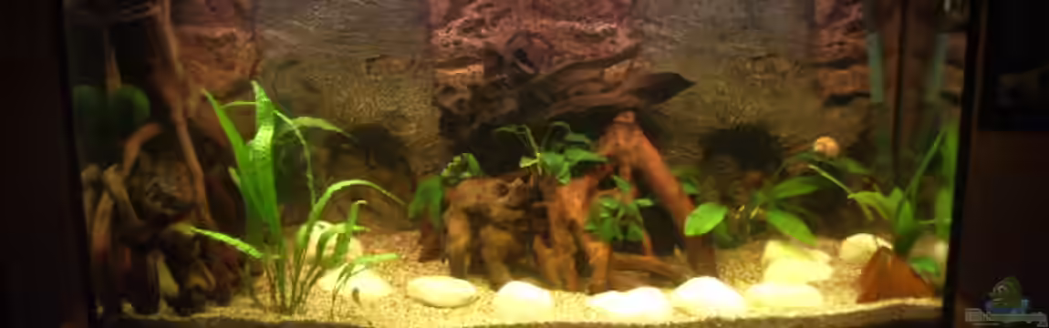 Becken 4247 von Michael Bamberger