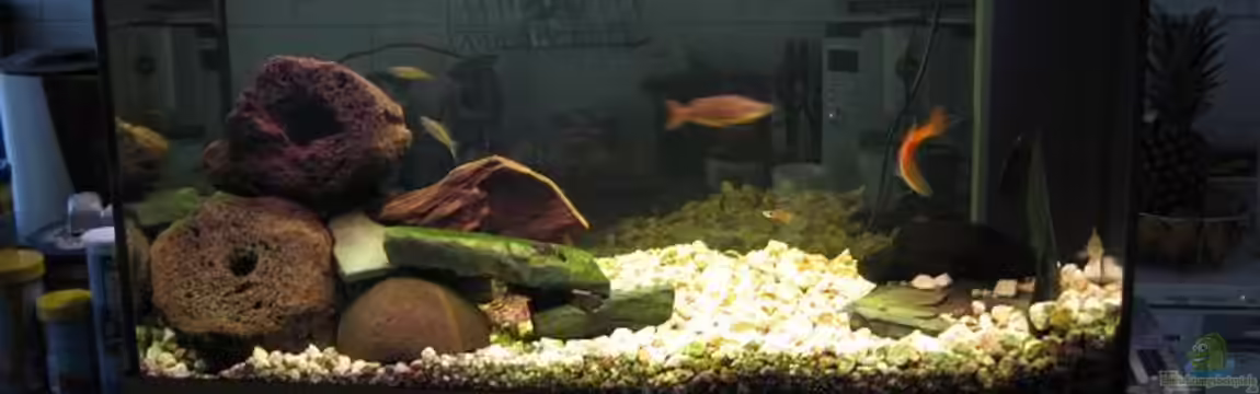 Becken 4263 von Florian Beck