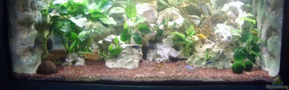 Becken 4285 von Jens Schneider