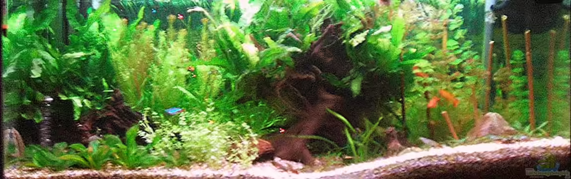 Becken 4292 von Daniel Pawlik