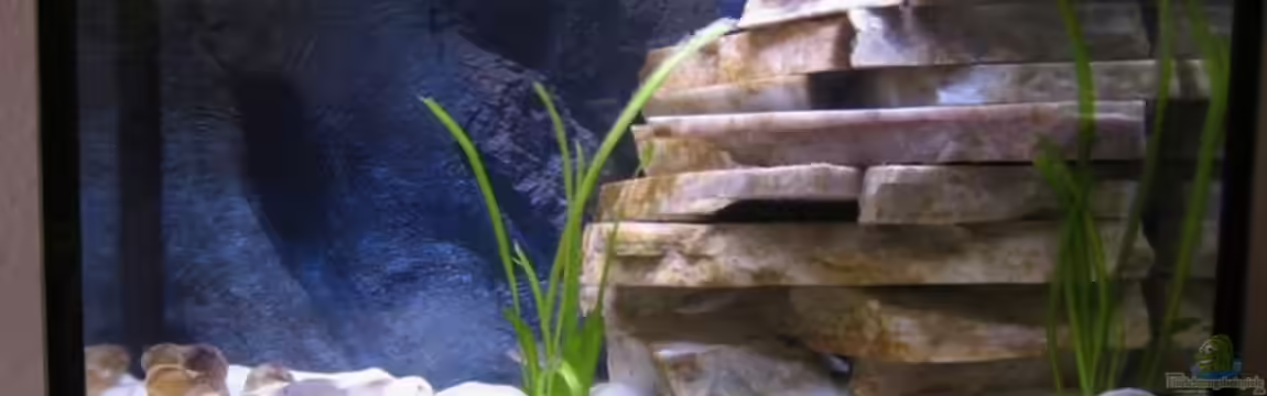 Becken 4366 von Tobias Kaup