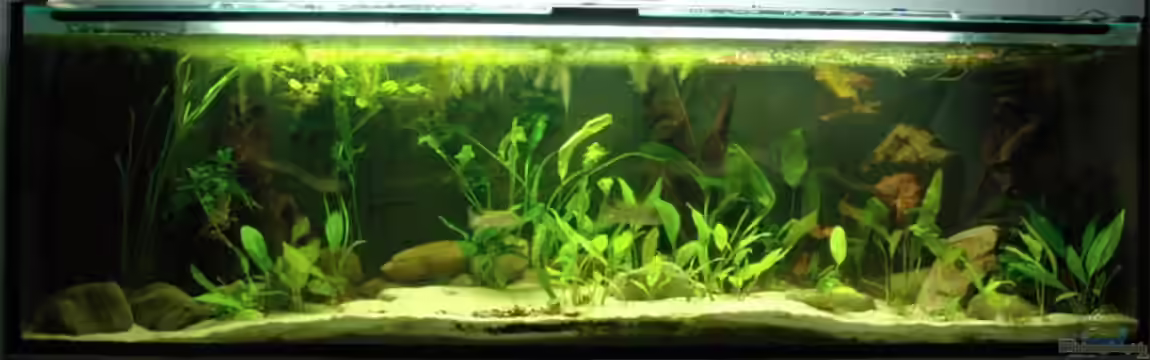 Becken 4368 von Volker Hebestreit