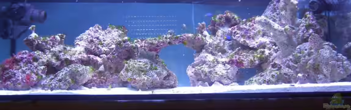 Becken 4394 von Torben Alsmeyer