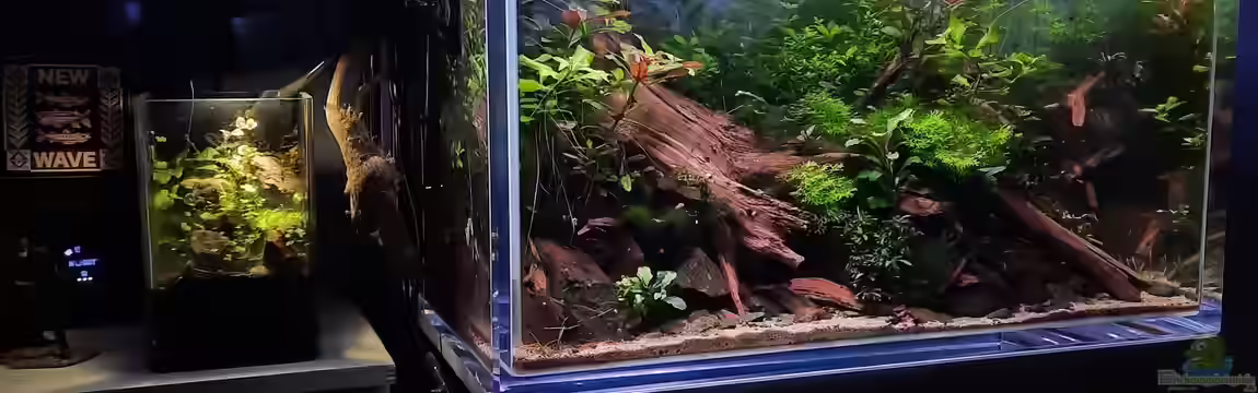 Becken 44010 von Frank R.