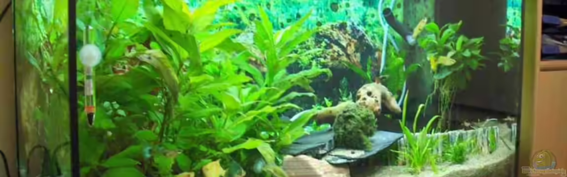 Becken 4410 von Marcus Voglsinger