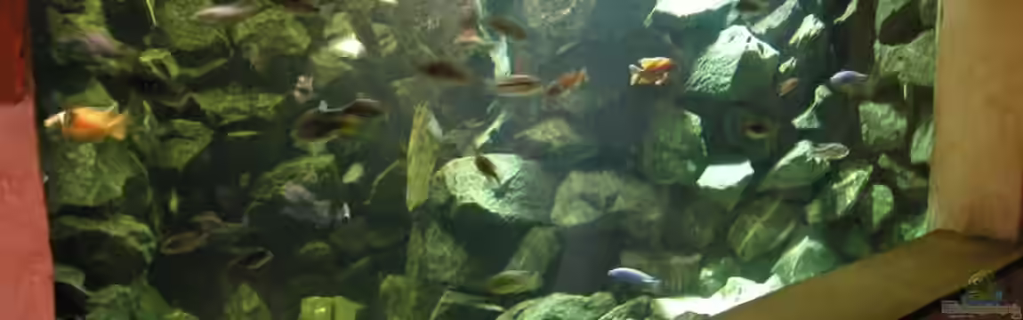 Becken 4449 von Jan Krüger