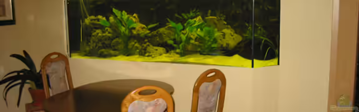 Becken 449 von Andreas Pape