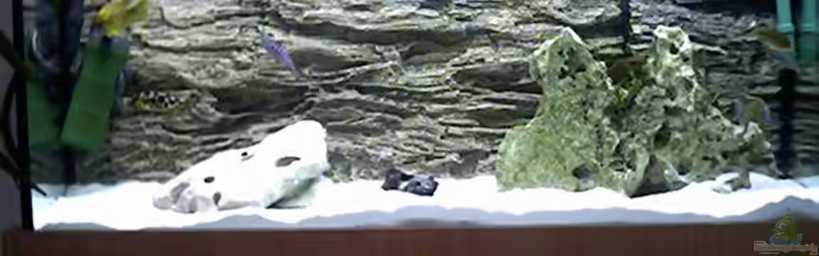 Becken 45 von Markus Kruse