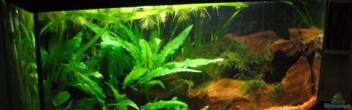 Becken 4525 von Mika Kläser