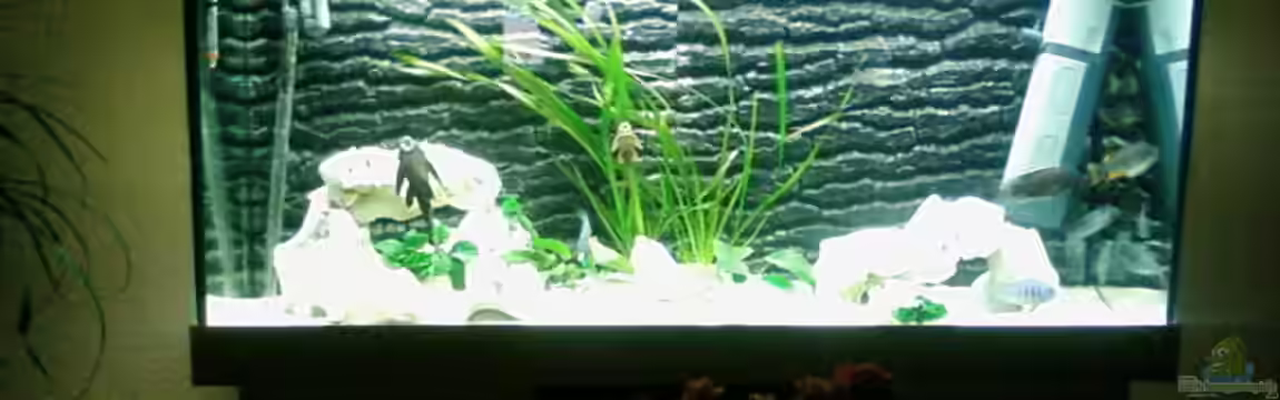 Becken 4553 von Jonny84