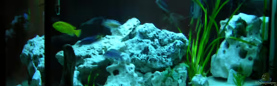 Becken 460 von Sascha Bill