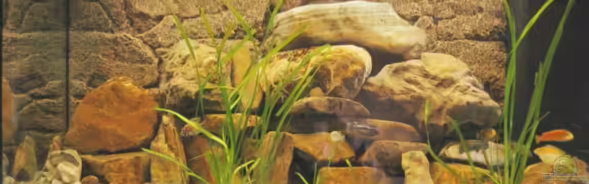 Becken 4622 von Manuel Huemer