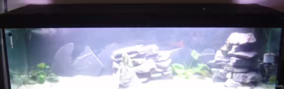 Becken 4632 von Michael Brunner