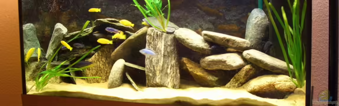 Becken 4650 von Deniz Özcan