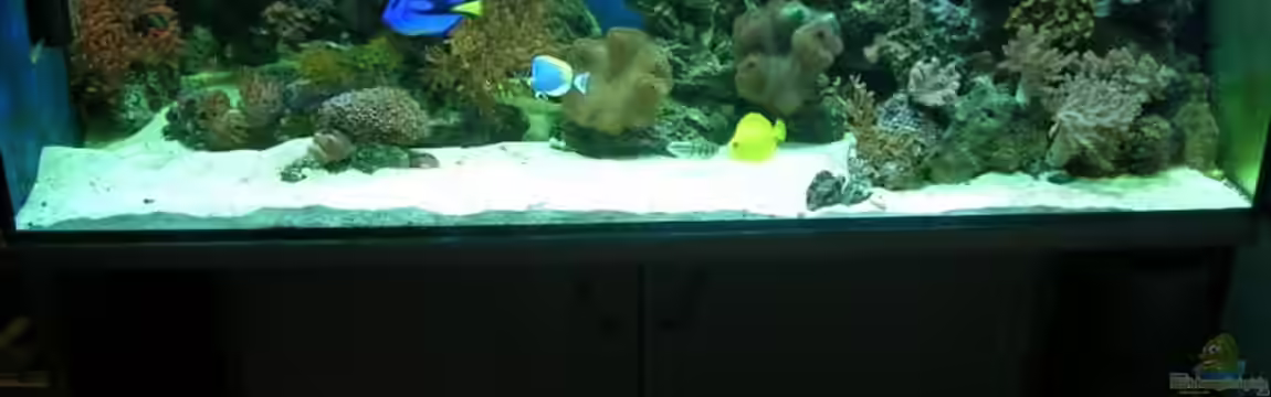 Becken 4655 von Bernd Kienle