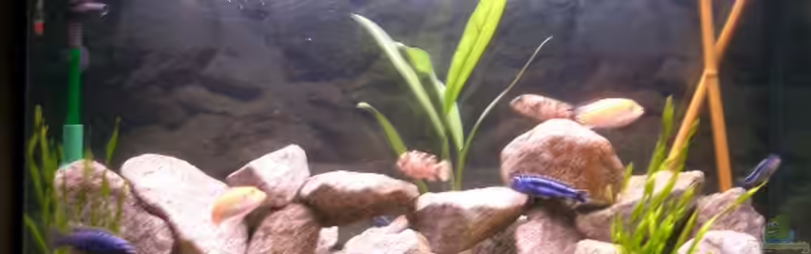 Becken 467 von Katja Müller