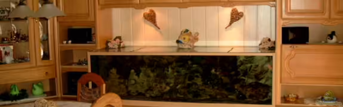 Becken 468 von Angelika Fabick