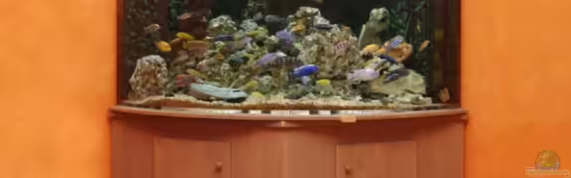 Becken 4748 von René Ickelsheimer