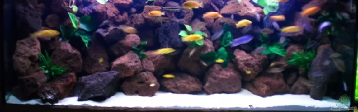 Becken 4763 von Ismail Korkmaz