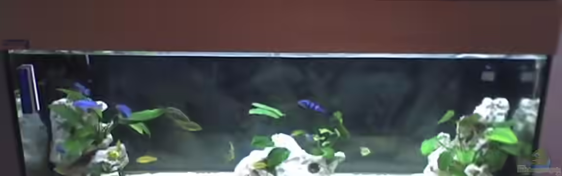 Becken 4785 von Heiko Rodegast