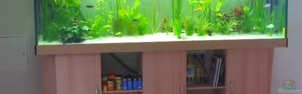 Becken 479 von Vuletic Dejan