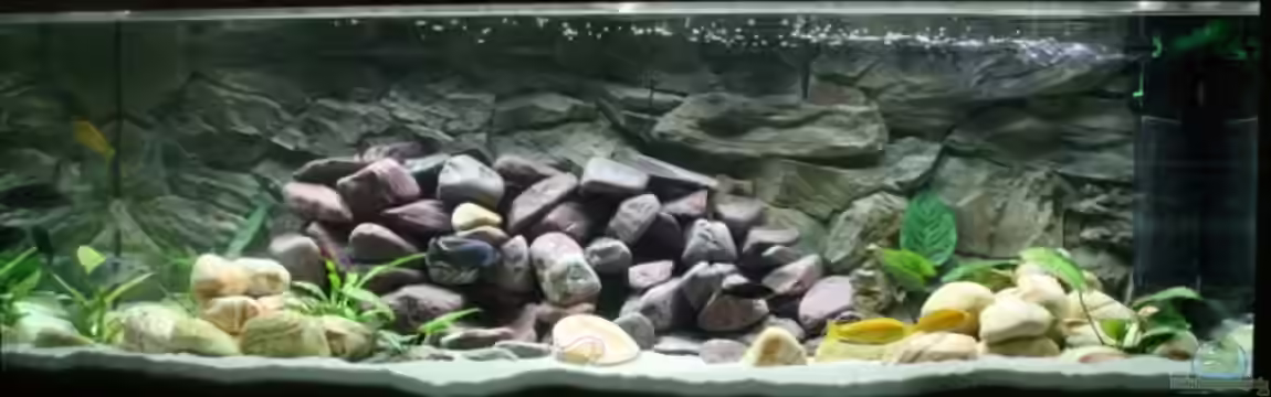 Becken 4790 von Sergio Raimundo