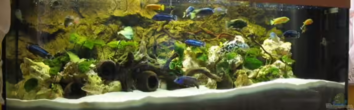 Becken 4795 von Gabriel Lechner