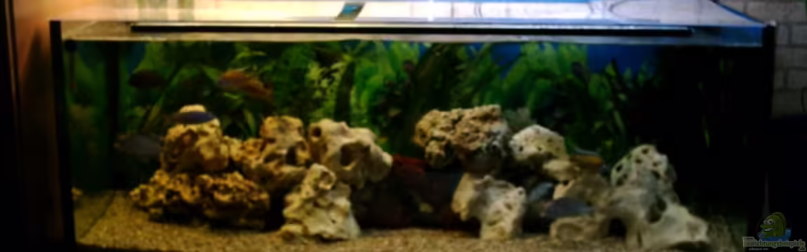 Becken 4796 von Ralf Bergler