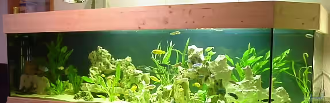 Becken 49 von Heiko Claus