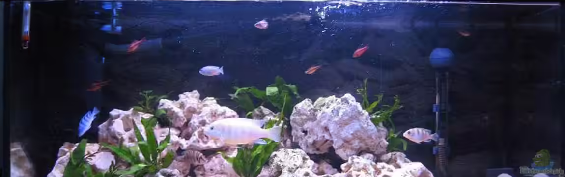 Becken 4912 von Christopher Klamer